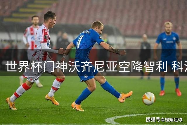 世界杯门神沃齐尼亚空降智利 科洛科洛迎来重磅引援