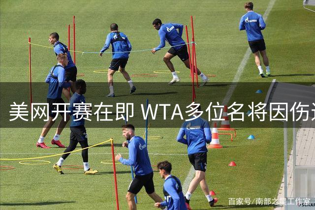 美网开赛在即 WTA多位名将因伤退赛 职业生涯前景蒙阴影